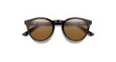 Westward - Tortoise - Chromapop Brown - Smith