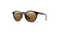 Westward - Tortoise - Chromapop Brown - Smith
