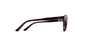 Westward - Tortoise - Chromapop Brown - Smith