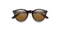 Westward - Tortoise - Chromapop Brown - Smith